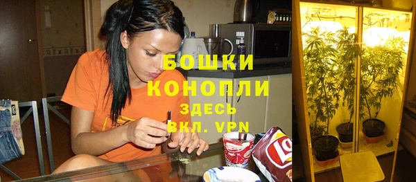 гашиш Бородино