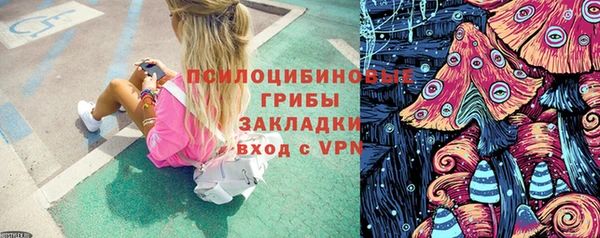 хмурый Протвино