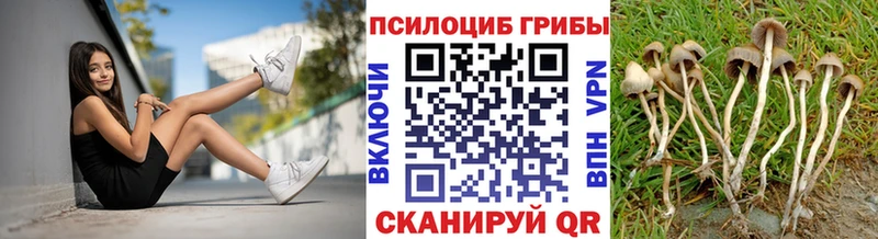 ссылка на мегу ссылки  сколько стоит  Семёнов  Псилоцибиновые грибы ЛСД 