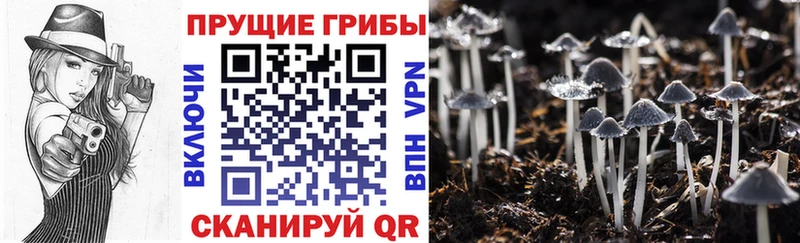 Псилоцибиновые грибы прущие грибы Семёнов