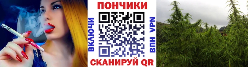 Каннабис OG Kush  MEGA ссылки  Семёнов  что такое  
